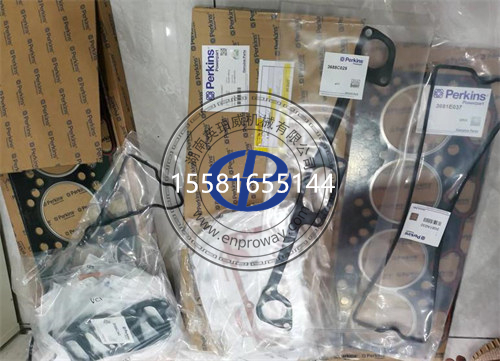 帕金斯1004威爾遜發(fā)電機下