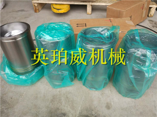 原裝德國道依茨缸套組件四配套BF4M2012發(fā)動機維修配件